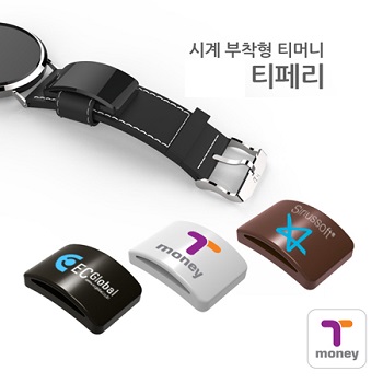 티머니 교통카드 티페리