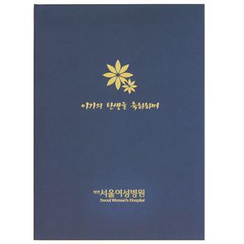 출생기록부