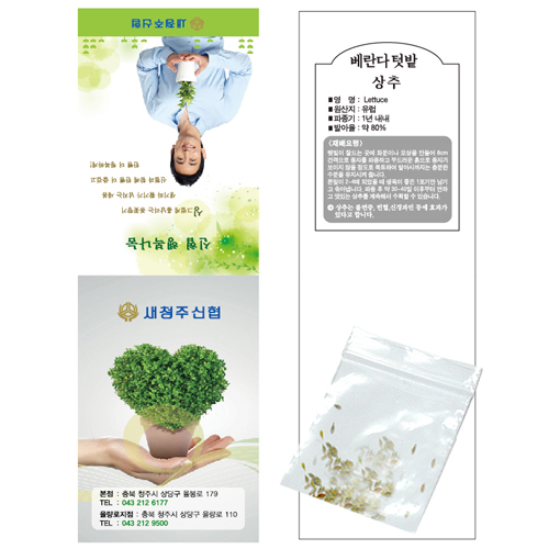 상추씨