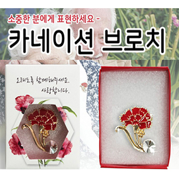 카네이션 브로치