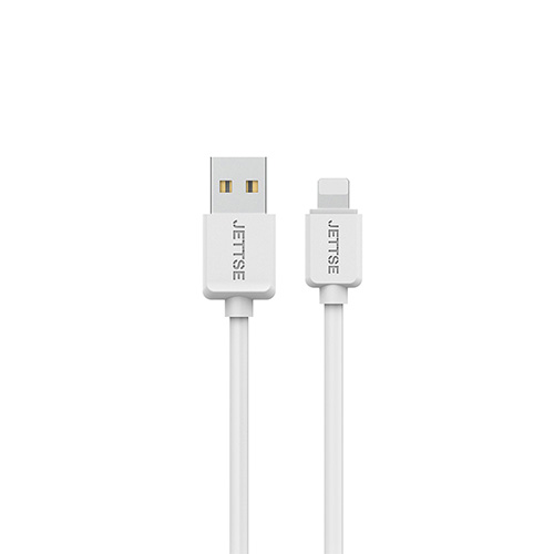 JETTSE 8핀 데이터 케이블 JTS-8P100WH