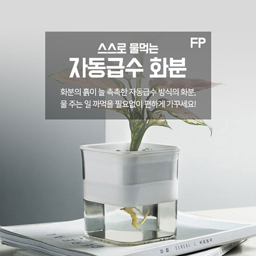 [비빅스] 자동급수화분 FP