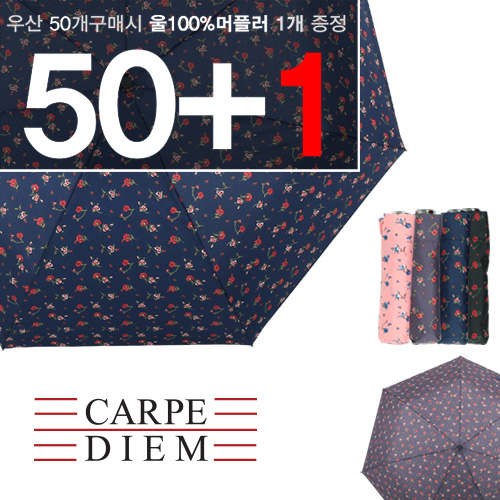 카르페디엠 프리지아 3단수동양우산 (806)