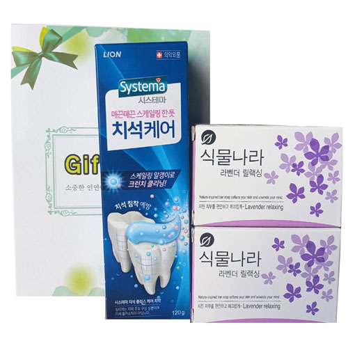 치석케어치약+식물나라비누 3종세트