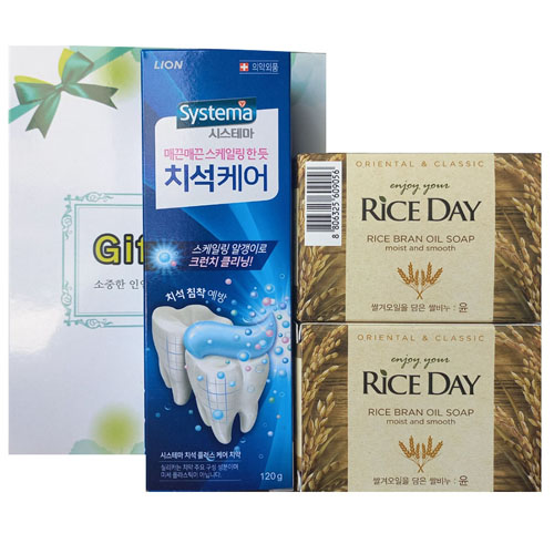 치석케어치약+라이스데이비누 3종세트