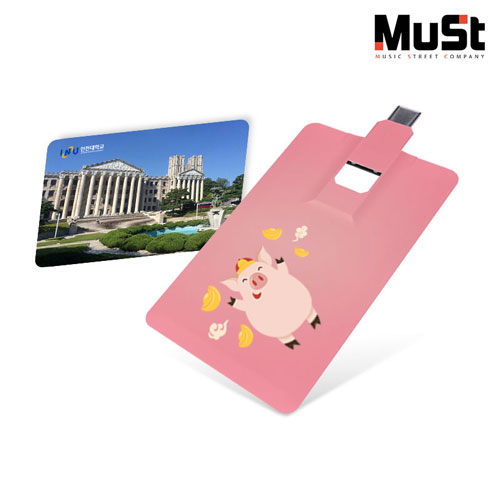 뮤스트 카드 OTG C-TYPE USB 2.0 메모리,