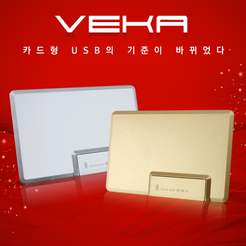 이츠 베카(VEKA) 카드형 USB