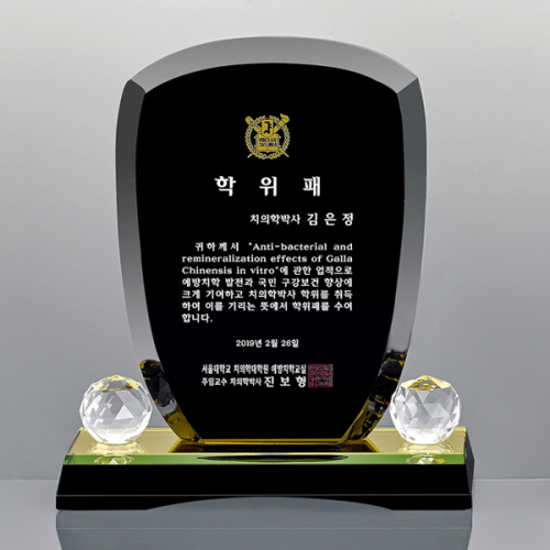 블랙크리스탈 상패 / SD13호 303-1