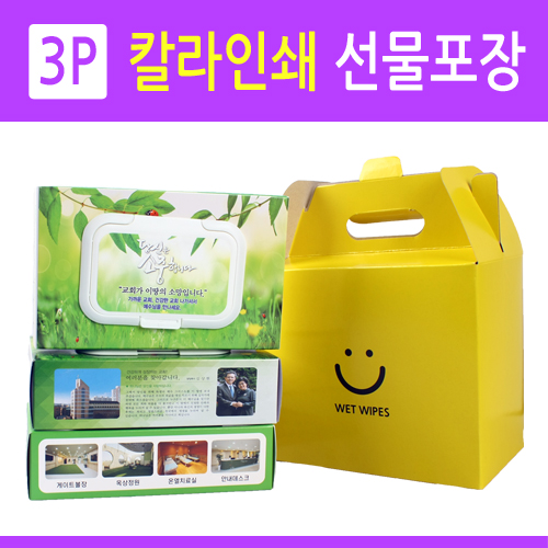 칼라케이스 물티슈 3P 번들포장 (각물티슈 80매)