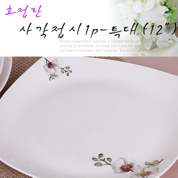 호접란 사각접시1p-특대(12