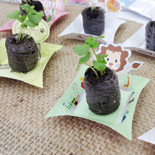 리틀가든페이퍼포트 (주문제작)